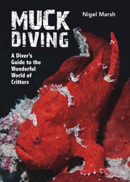 Muck Diving  9781921517815 Front Cover