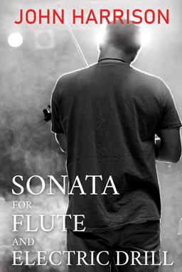 Sonata for Flute and Electric Drill