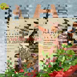 Artist and His Models The Art of Rembrandt  9781925234442 Front Cover