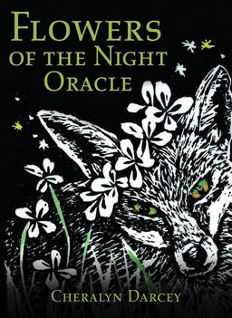 Flowers of the Night Oracle  9781925682090 Front Cover