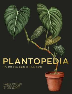 Plantopedia The Definitive Guide to House Plants  9781925811773 Front Cover