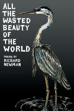 All the Wasted Beauty of the World  9781927409312 Front Cover