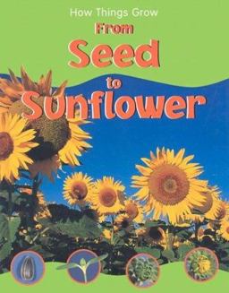 From Seed to Sunflower