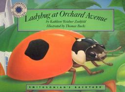 Ladybug at Orchard Avenue