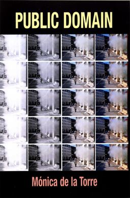 Public Domain 1st 2008 9781931824309 Front Cover