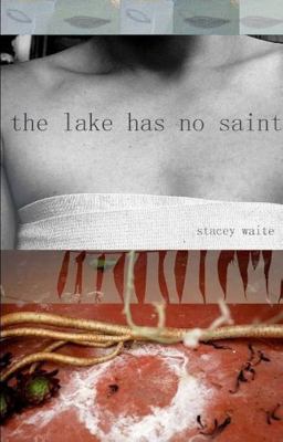 Lake Has No Saint  9781932195811 Front Cover