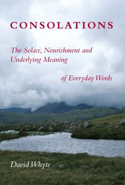 Consolations: The Solace, Nourishment, and the Underlying Meaning  9781932887341 Front Cover