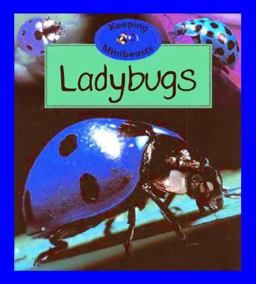 Ladybugs