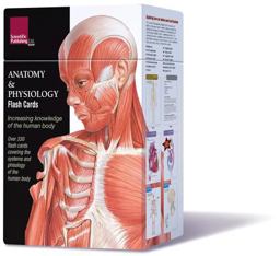 Anatomy and Physiology Flash Cards  9781932922974 Front Cover