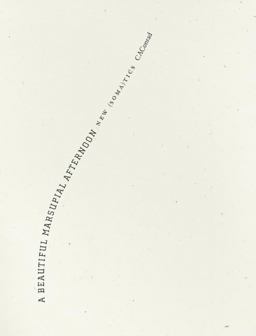 Beautiful Marsupial Afternoon New (Soma)tics  9781933517599 Front Cover