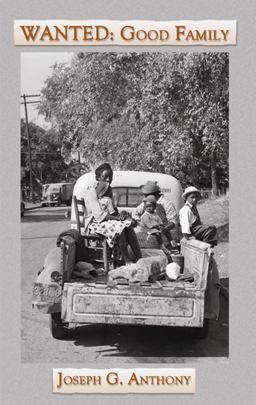 Wanted: Good Family A Novel  9781933964904 Front Cover