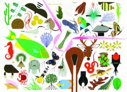 Charley Harper's Animal Kingdom 2012 9781934429433 Front Cover
