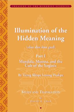 Illumination of the Hidden Meaning Mandala, Mantra, and the Cult of the Yognis  9781935011095 Front Cover