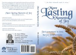 More Lasting Moments of Joy