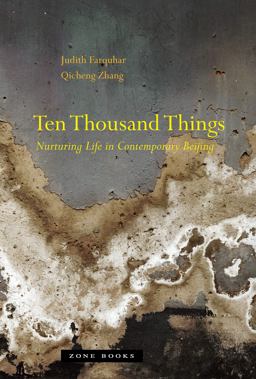 Ten Thousand Things Nurturing Life in Contemporary Beijing  9781935408185 Front Cover