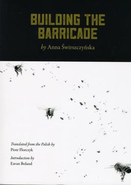 Building the Barricade