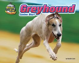 Greyhound