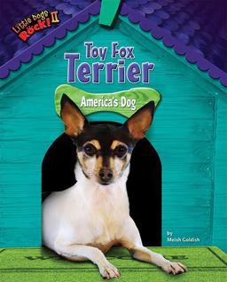 Toy Fox Terrier