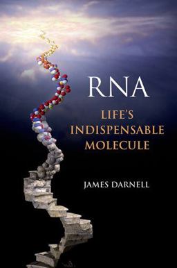 RNA: Life's Indispensable Molecule  9781936113194 Front Cover