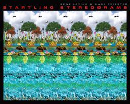 Startling Stereograms  9781936140664 Front Cover