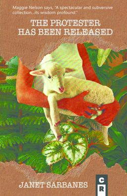 The Protester Has Been Released