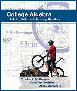 College Algebra: Building Skills and Modeling Situations (paperback)