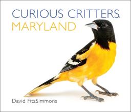 Curious Critters Maryland  9781936607372 Front Cover