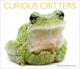 Curious Critters  9781936607693 Front Cover