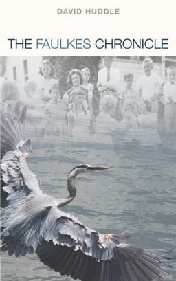 Faulkes Chronicle  9781936797455 Front Cover
