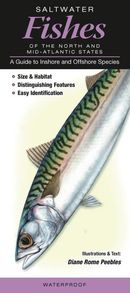 Saltwater Fishes of the Northern and Mid-Atlantic States A Guide to Common and Notable Species  9781936913015 Front Cover