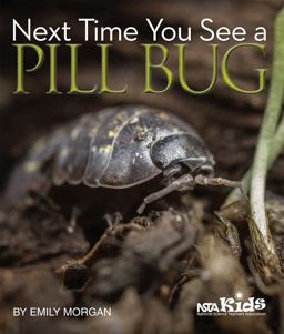 Next Time You See a Pill Bug Next Time You See a Pill Bug