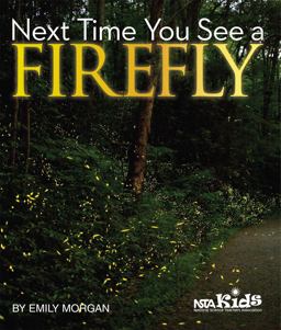 Next Time You See a Firefly Next Time You See a Firefly