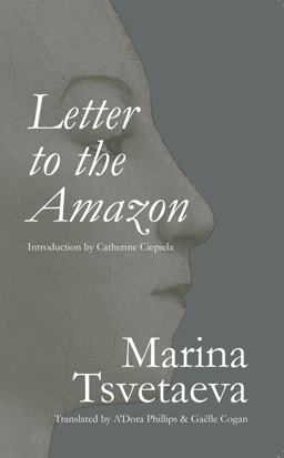 Letter to the Amazon  9781937027698 Front Cover