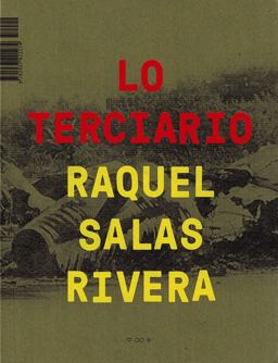 Lo Terciario / the Tertiary  9781937421274 Front Cover