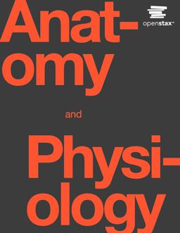 Anatomy and Physiology  9781938168130 Front Cover