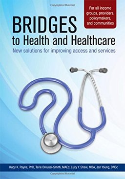 Bridges to Health and Healthcare New Solutions for Improving Access and Services  9781938248344 Front Cover