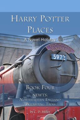 Harry Potter Places Book Four-NEWTS