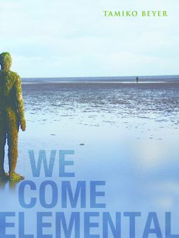 We Come Elemental  9781938584008 Front Cover