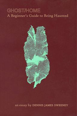 Ghost/Home A Beginner's Guide to Being Haunted  9781938900334 Front Cover