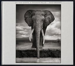 Nick Brandt: on This Earth, a Shadow Falls  9781938922442 Front Cover