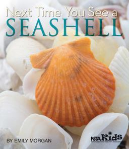 Next Time You See a Seashell Next Time You See a Seashell