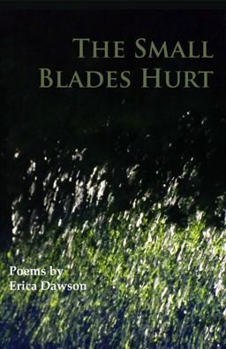 Small Blades Hurt  9781939574046 Front Cover