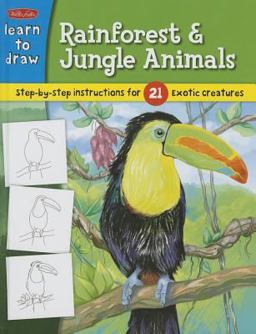 Learn to Draw Rainforest and Jungle Animals
