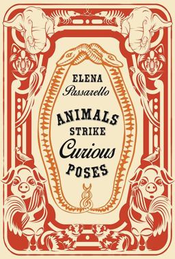 Animals Strike Curious Poses  9781941411391 Front Cover
