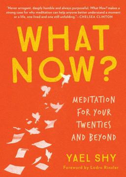 What Now? Meditation for Your Twenties and Beyond  9781941529829 Front Cover