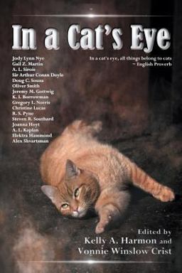 In a Cat's Eye In a Cat's Eye