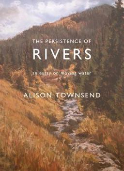 Persistence of Rivers An Essay on Moving Water  9781941681831 Front Cover