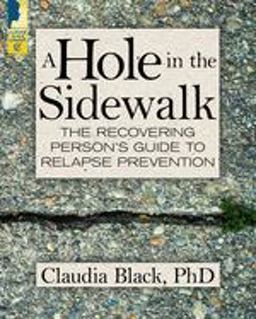 Hole in the Sidewalk The Recovering Person's Guide to Relapse Prevention  9781942094739 Front Cover