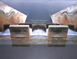 Brad Temkin: the State of Water