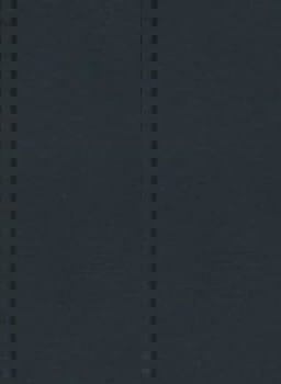 Holy Bible, Berean Standard Bible-Black Hardcover